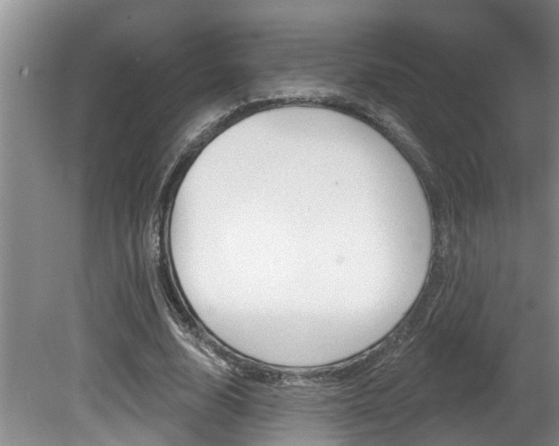 X0000080790632200612151059