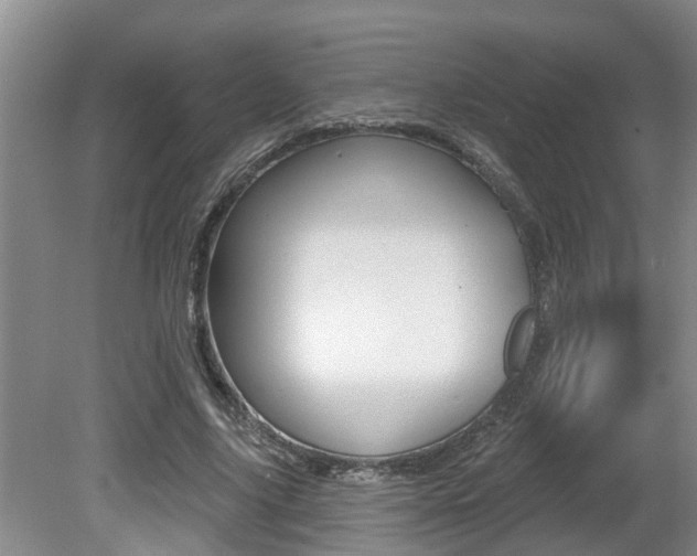 X0000080790635200612151059