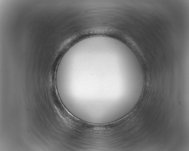 X0000080790636200612151059