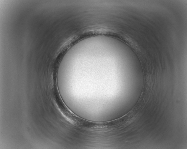 X0000080790638200612151059