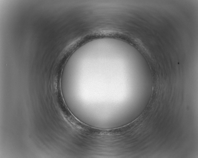 X0000080790640200612151059