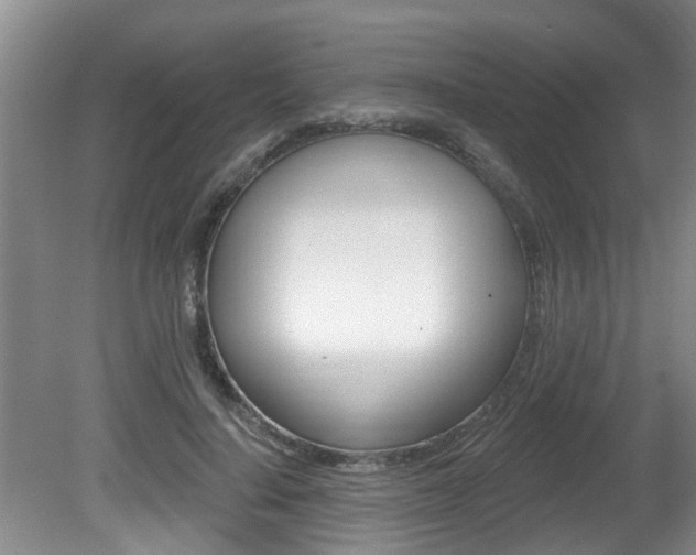 X0000080790644200612151059