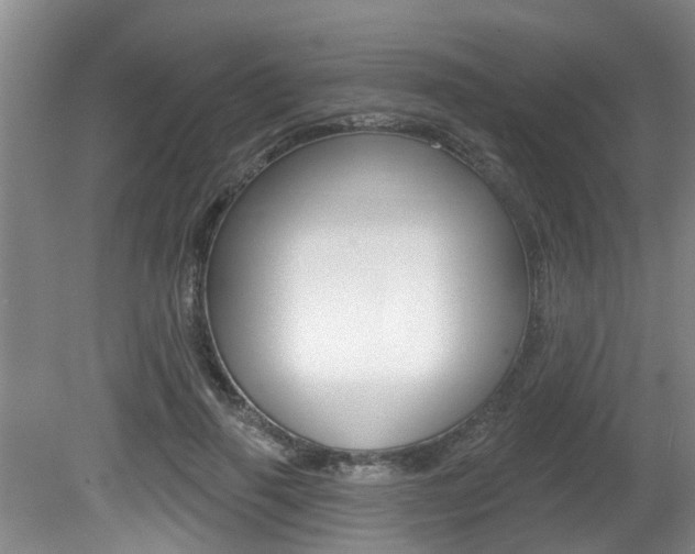 X0000080790645200612151059
