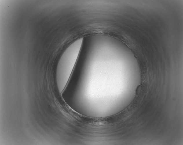 X0000080790646200612151059