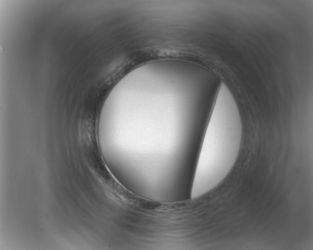 X0000080790648200612151059