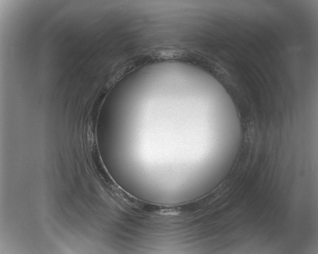 X0000080790651200612151059