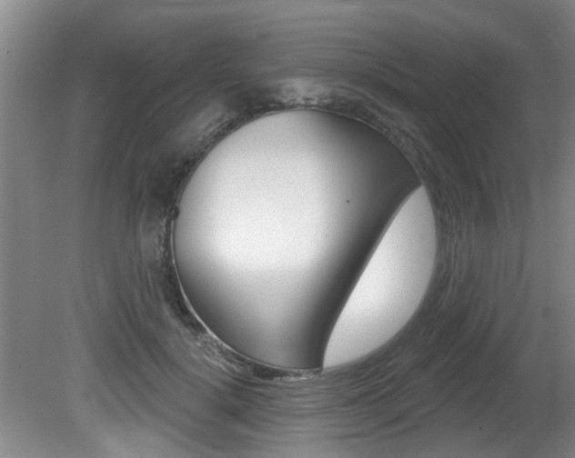X0000080790652200612151059