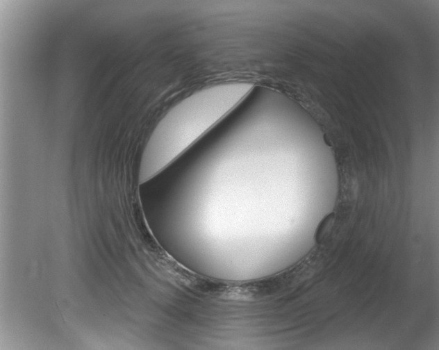 X0000080790656200612151059