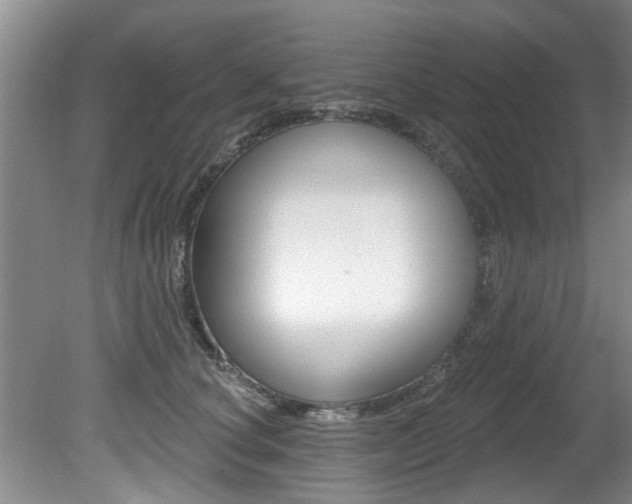 X0000080790660200612151059