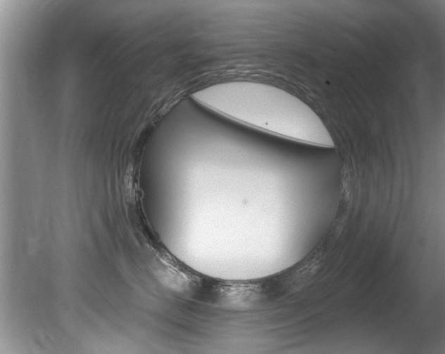 X0000080790670200612151059
