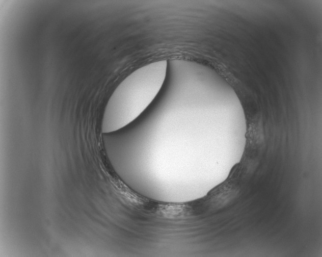 X0000080790671200612151059