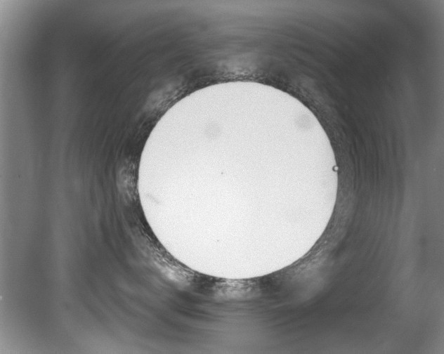 X0000080790672200612151059