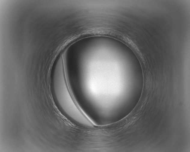X0000080790673200612151058