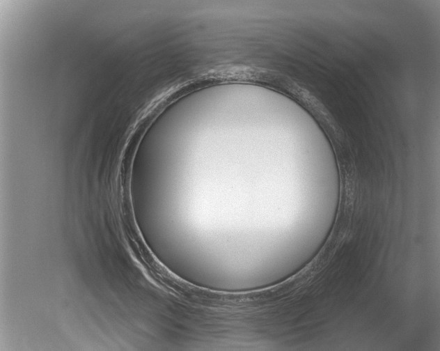 X0000080790674200612151058