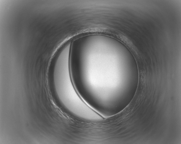 X0000080790676200612151058
