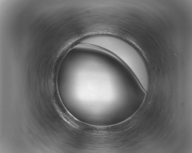 X0000080790677200612151058