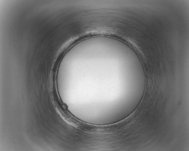 X0000080790678200612151058