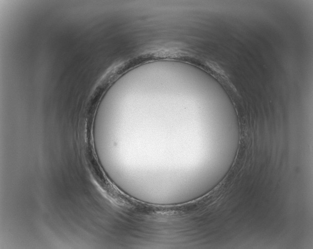 X0000080790686200612151058