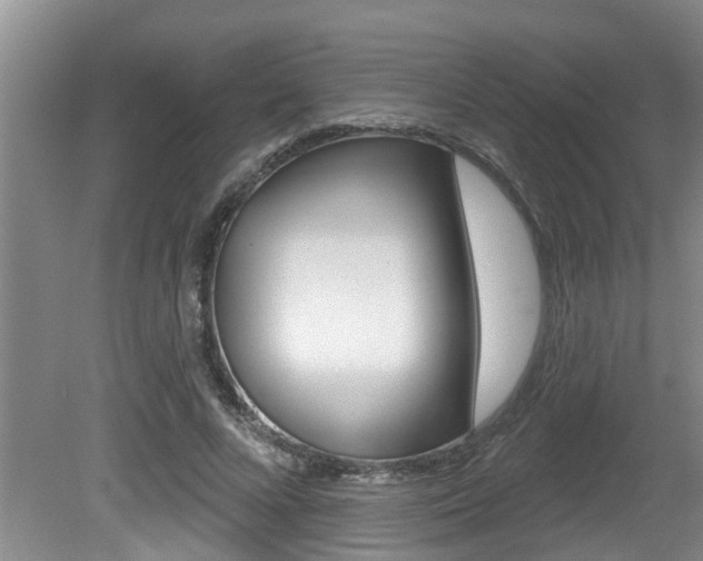 X0000080790688200612151058