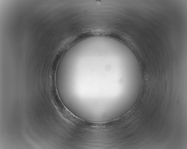 X0000080790690200612151058