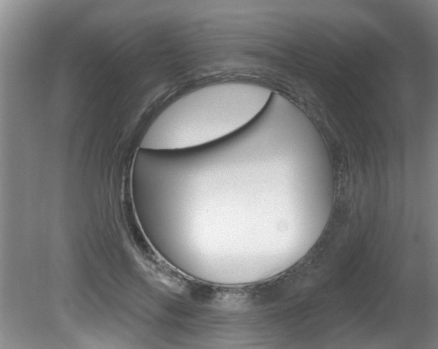 X0000080790694200612151058