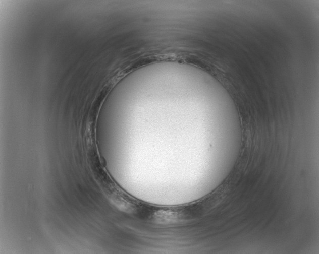 X0000080790699200612151058