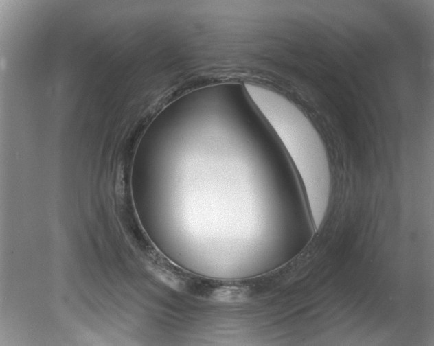 X0000080790700200612151058