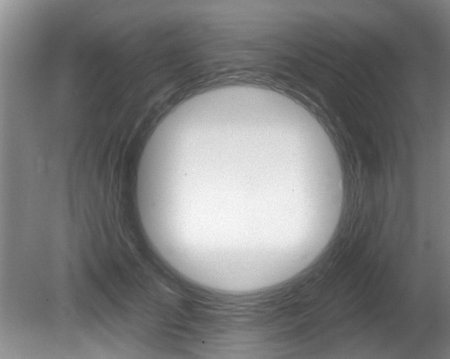 X0000080790701200612151058