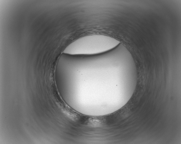 X0000080790706200612151058