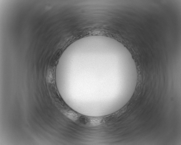 X0000080790709200612151058