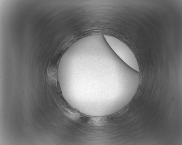 X0000080790713200612151058