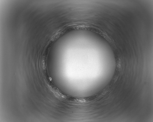 X0000080790715200612151058
