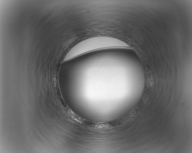 X0000080790716200612151058