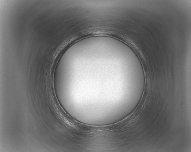 X0000080790721200612151057