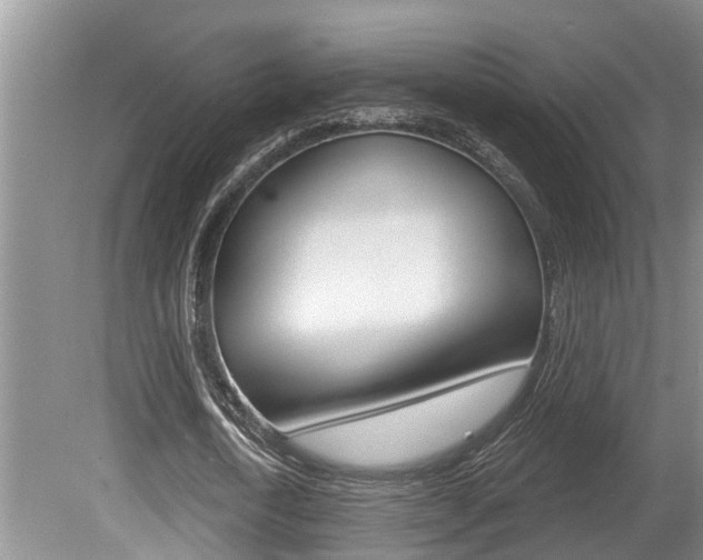 X0000080790722200612151057