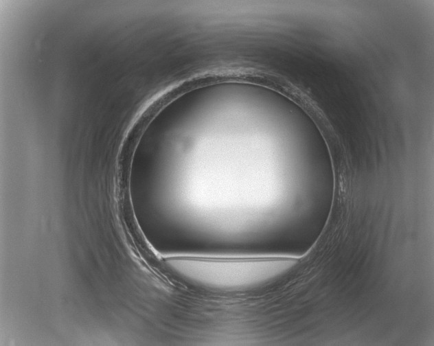 X0000080790724200612151057