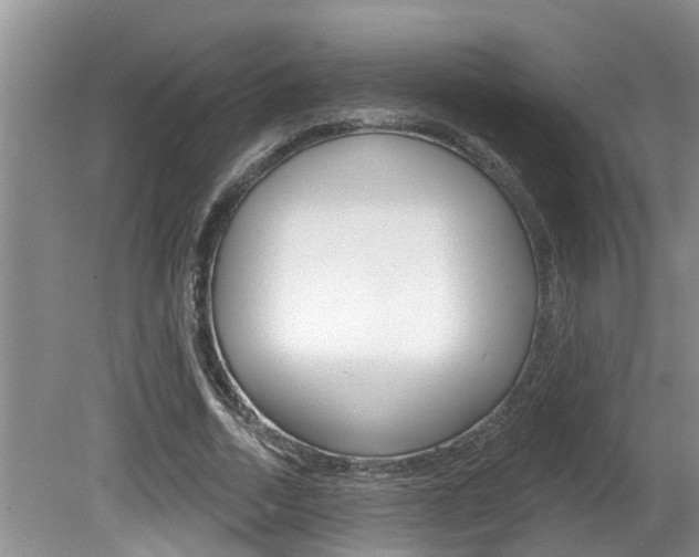 X0000080790730200612151057