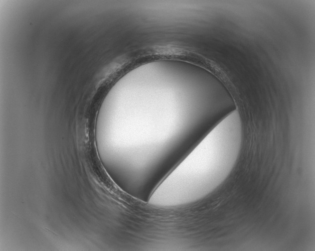 X0000080790731200612151057