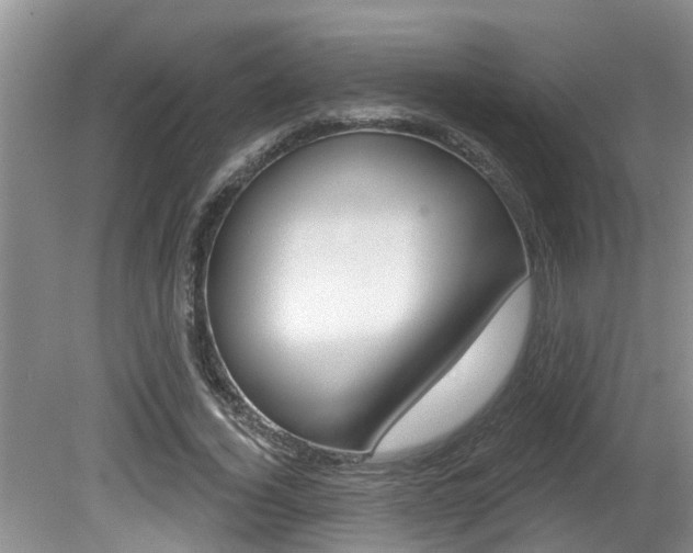 X0000080790732200612151057