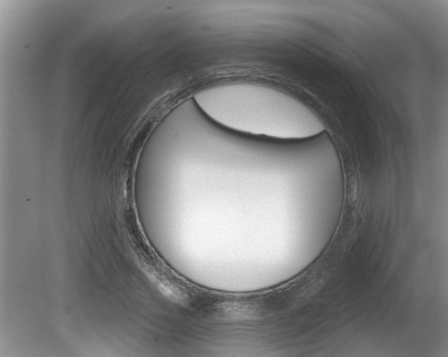 X0000080790733200612151057