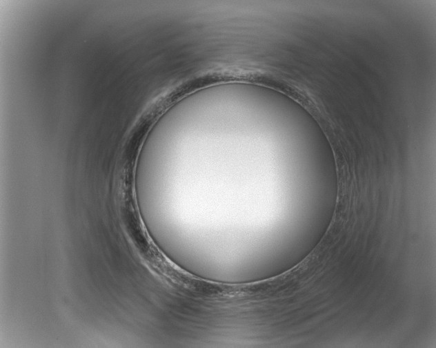 X0000080790736200612151057