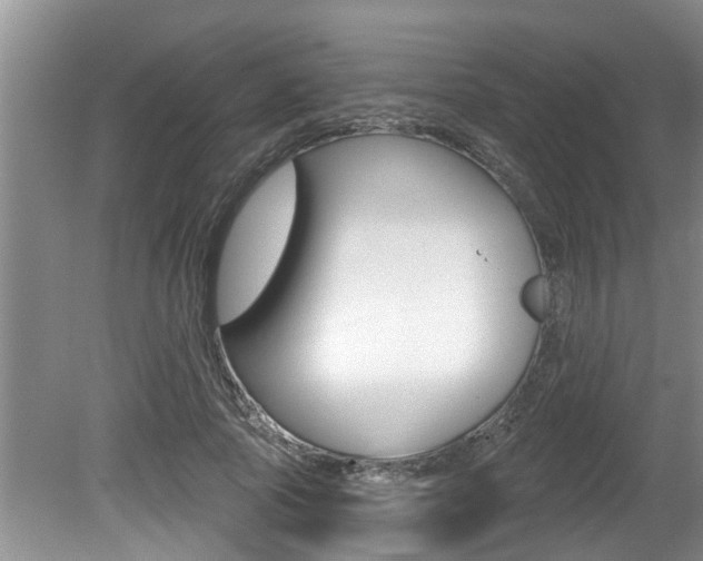 X0000080790737200612151057