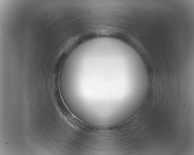 X0000080790738200612151057