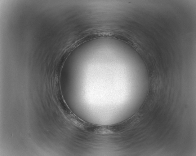 X0000080790747200612151057