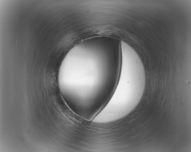 X0000080790748200612151057