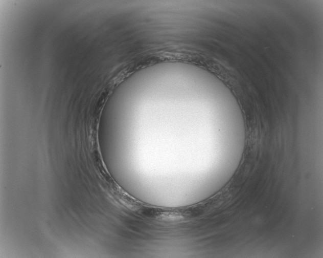 X0000080790749200612151057