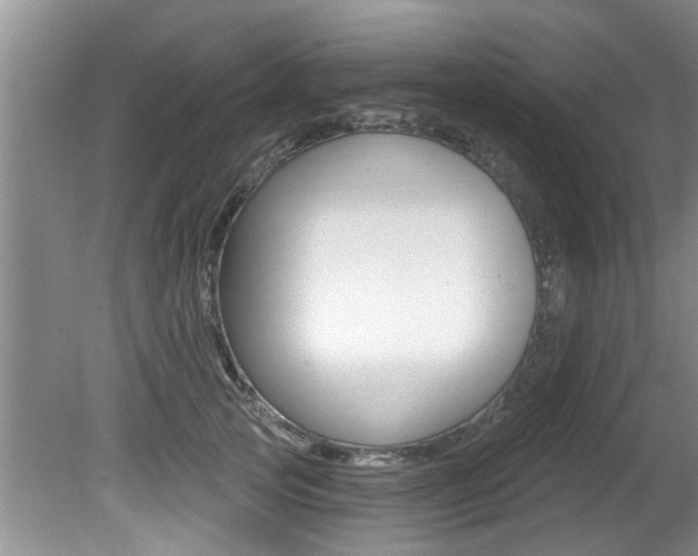 X0000080790753200612151057