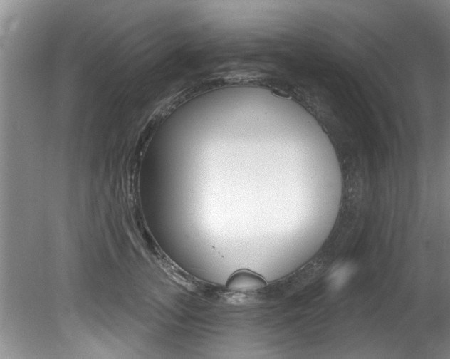 X0000080790755200612151057