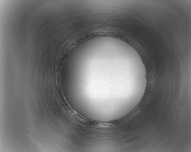 X0000080790758200612151057