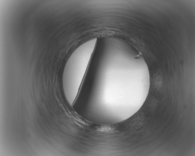 X0000080790759200612151058